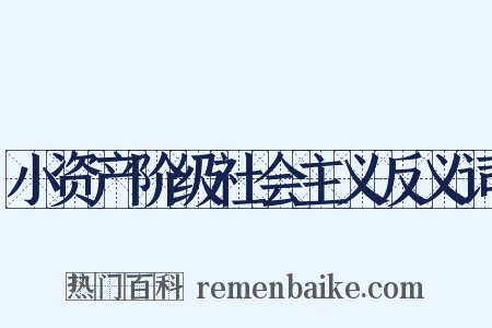 小资产阶级社会主义反义词是什么意思的图片